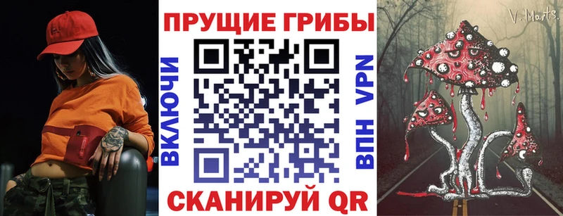 нарко площадка формула продажа наркотиков Коммунар Псилоцибиновые грибы MAGIC MUSHROOMS